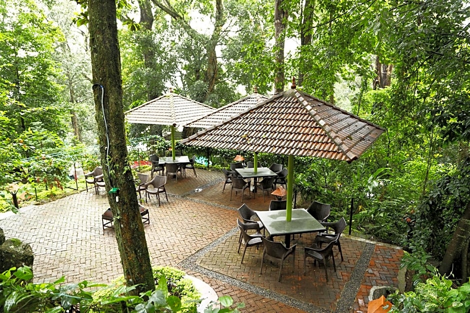 The Tall Trees Munnar