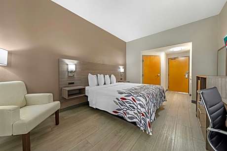 Deluxe King Room Non-Smoking