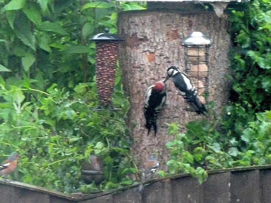 Oakenholt Farm Bed and Breakfast