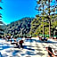Fairmount Shimla Forest Greens