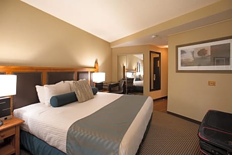 Comfort Room 1 King Bed