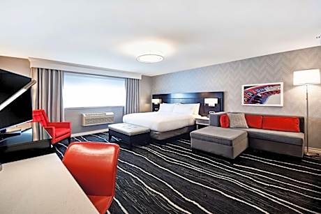 Junior King Suite with Sofa Bed