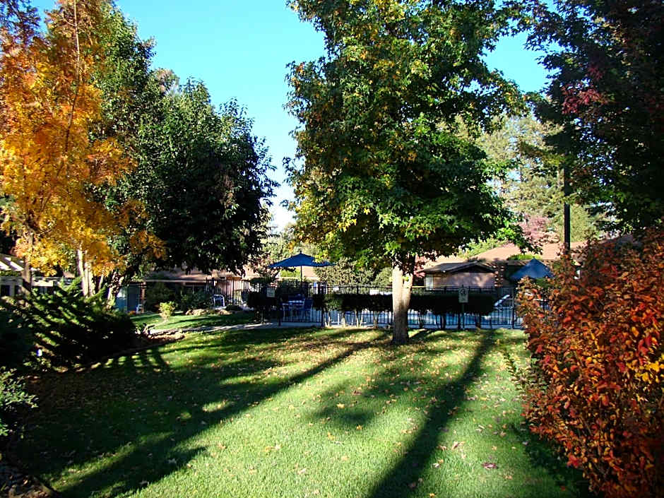 Ponderosa Gardens Motel