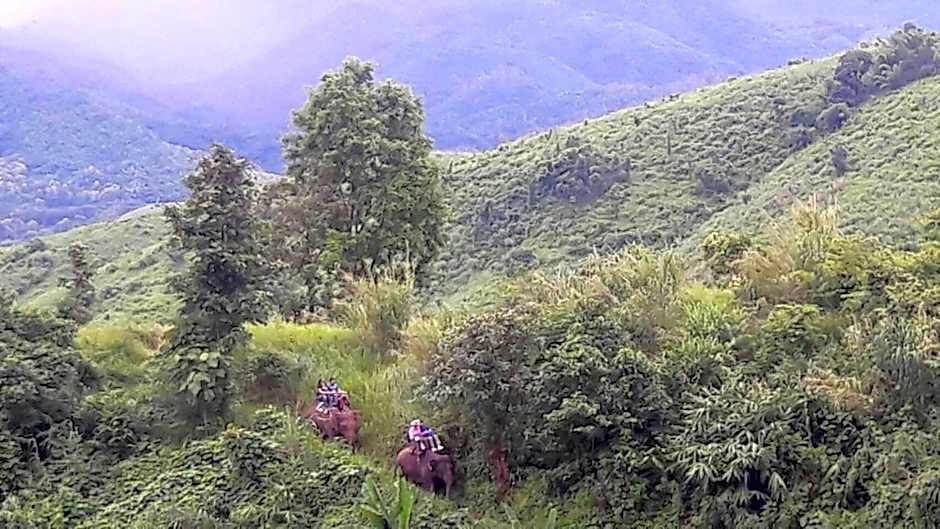 Hill Tribe Art House (Lahu & Akha Homestay)