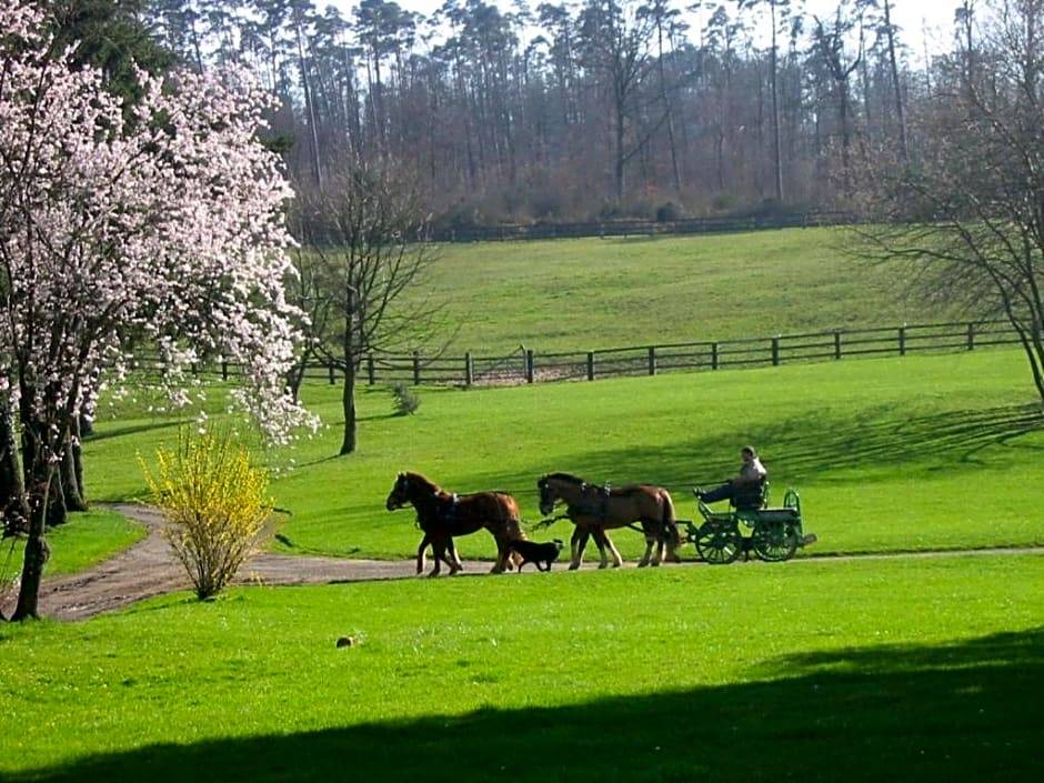 Chambres d'hôtes La Verrerie du Gast