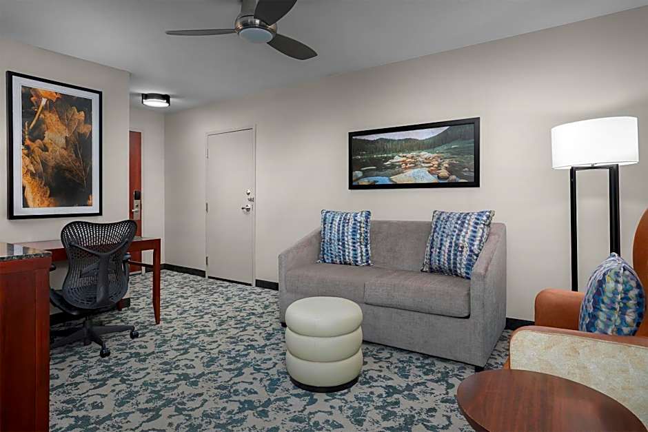 Photo 1 of 4 of Junior 1 King Bed Suite