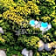Thonga Beach Lodge