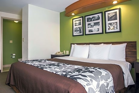 1 King Bed, Nonsmoking