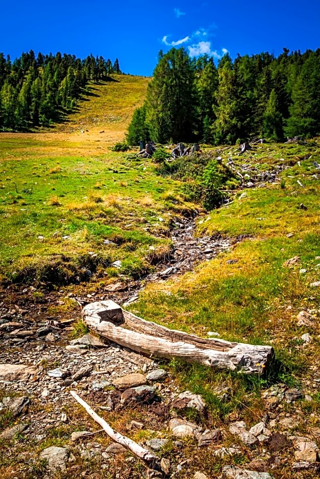 Ferienhütte Hoitahüttl