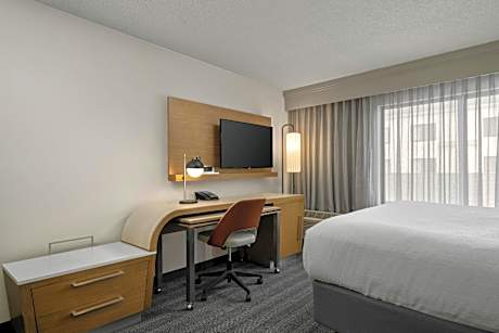 1 Bedroom 2 room Suite, 1 King, Sofa bed