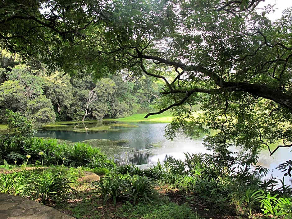 Ngare Sero Mountain Lodge