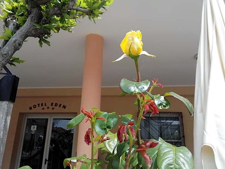 Hotel Eden