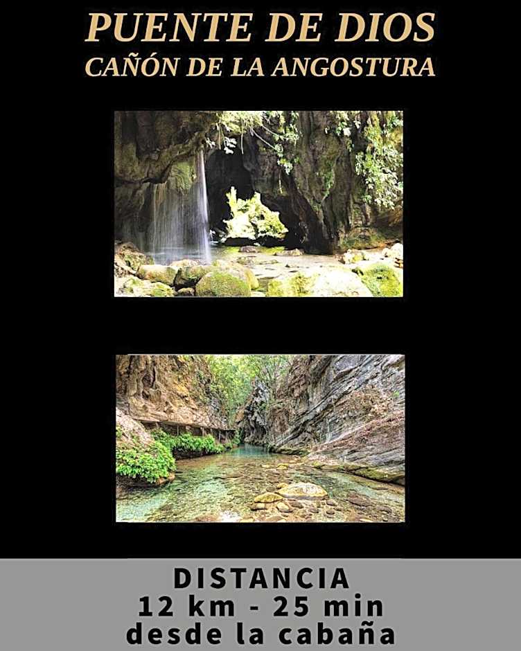 Mariposa - Cabañas Puerto del Zopilote