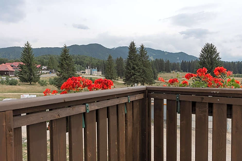 Grand Chalet Aparthotel