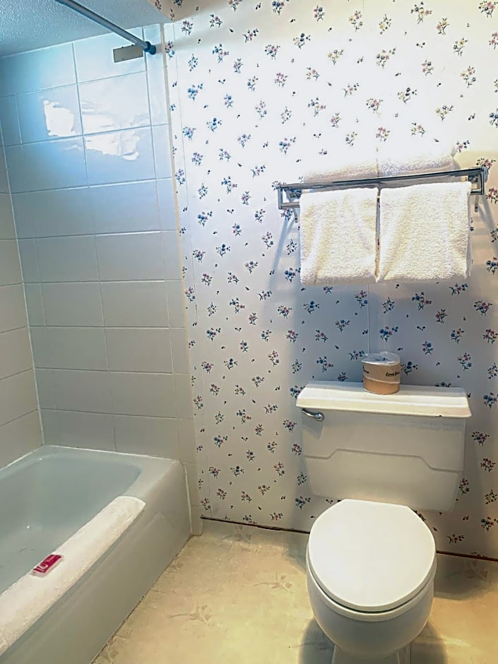 Econo Lodge Inn & Suites