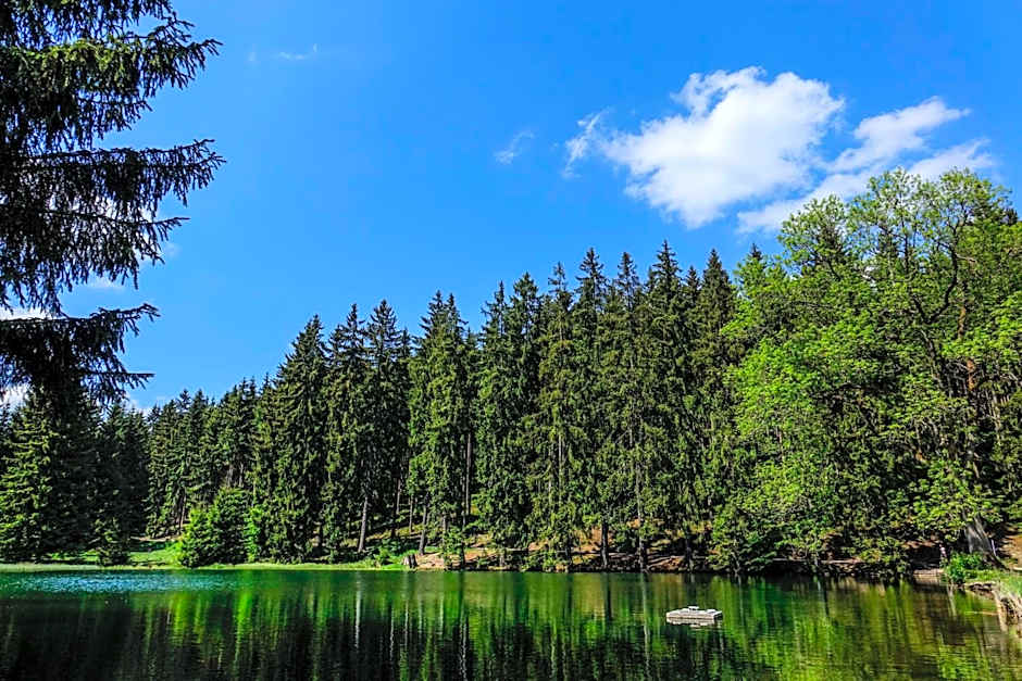 Pension Haus Saarland