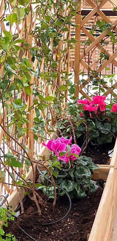 In Terrazza Da Giusy