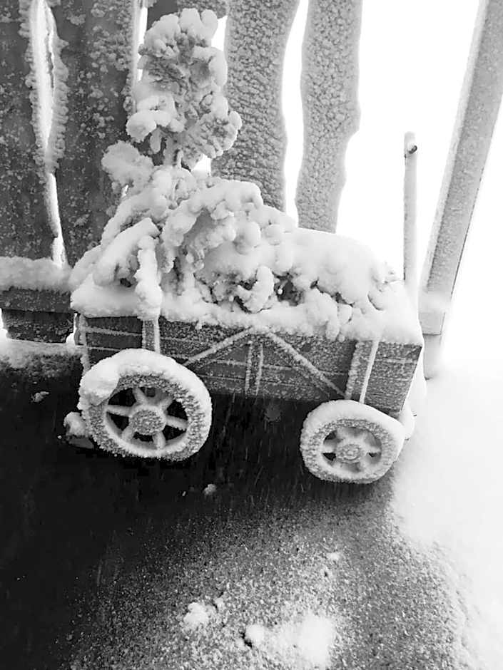 Tehúsið Hostel & Guesthouse