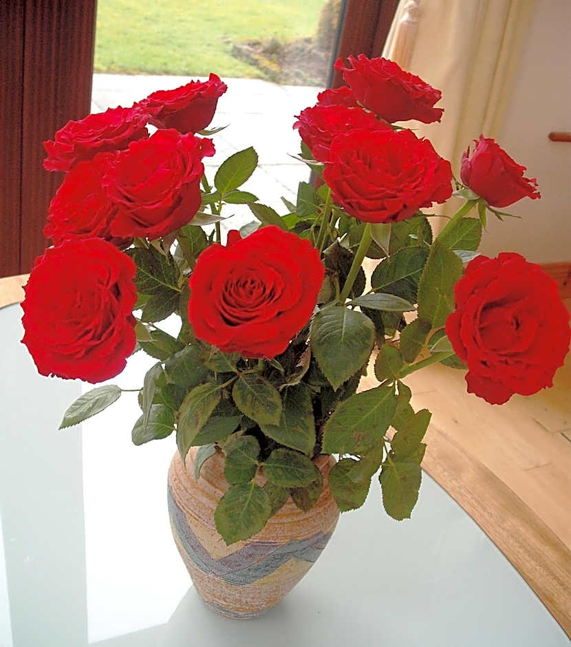 Maryville Bed and Breakfast