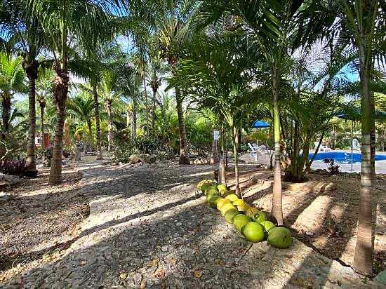 Villa Tortugas