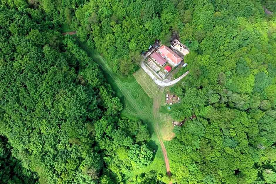 Bonsovi Poliani Hut (¿¿¿¿ ¿¿¿¿¿¿¿ ¿¿¿¿¿¿)