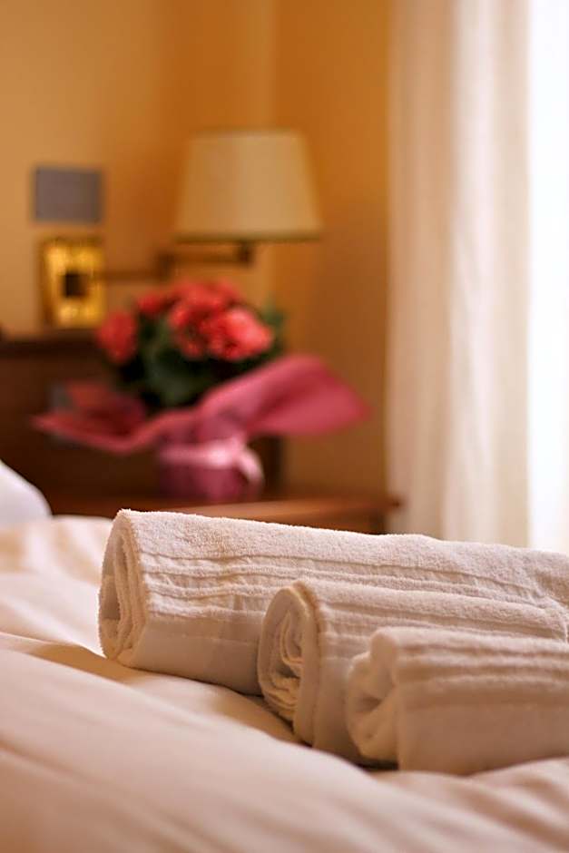 Hotel Saini with Air conditioning