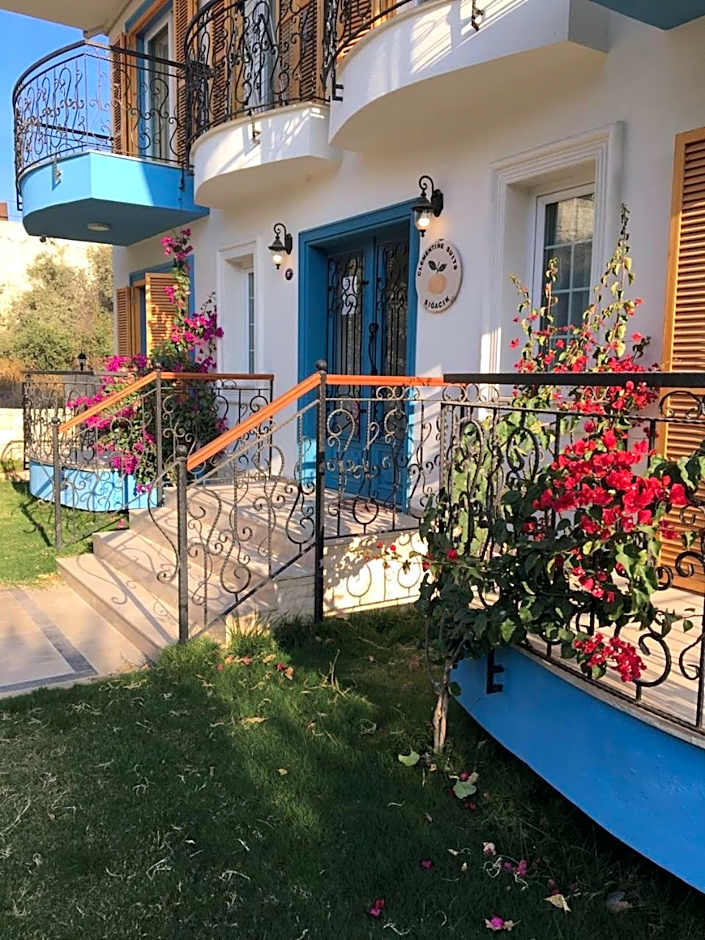 Clementin Suits Sigacık