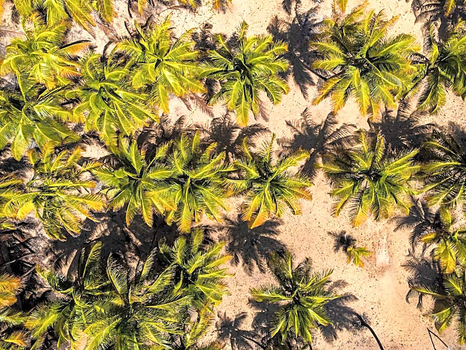 Hotel Boutique e Spa Ponta de Inhambupe