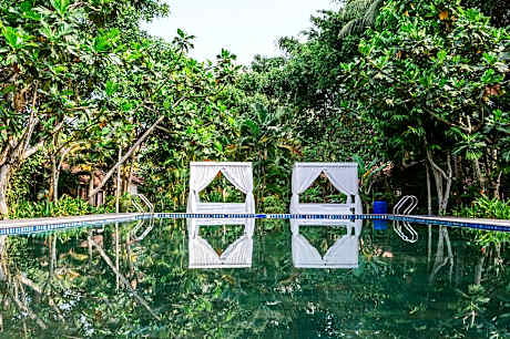 An Nhien Retreat Phu Quoc with Daily Yoga