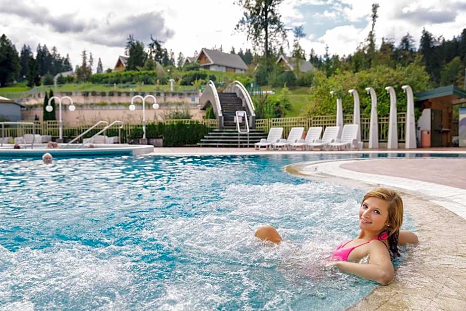 Terme Topolsica - Hotel Vesna