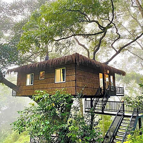 Tree Nature Resort