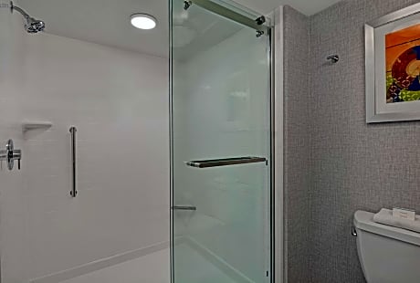 1 King Studio Suite W/Shower Nonsmoking