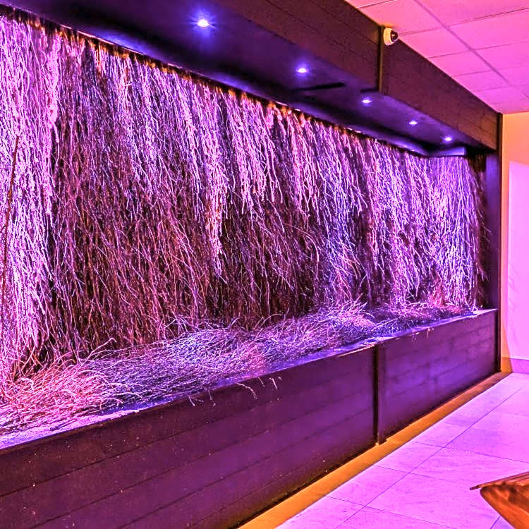 Hotel Business Faltom Gdynia