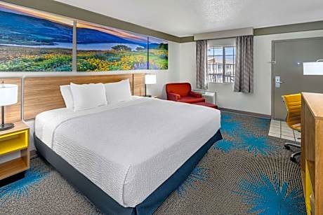 1 King Bed Non-Smoking