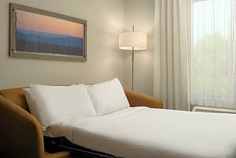 King Studio with Sofa Bed