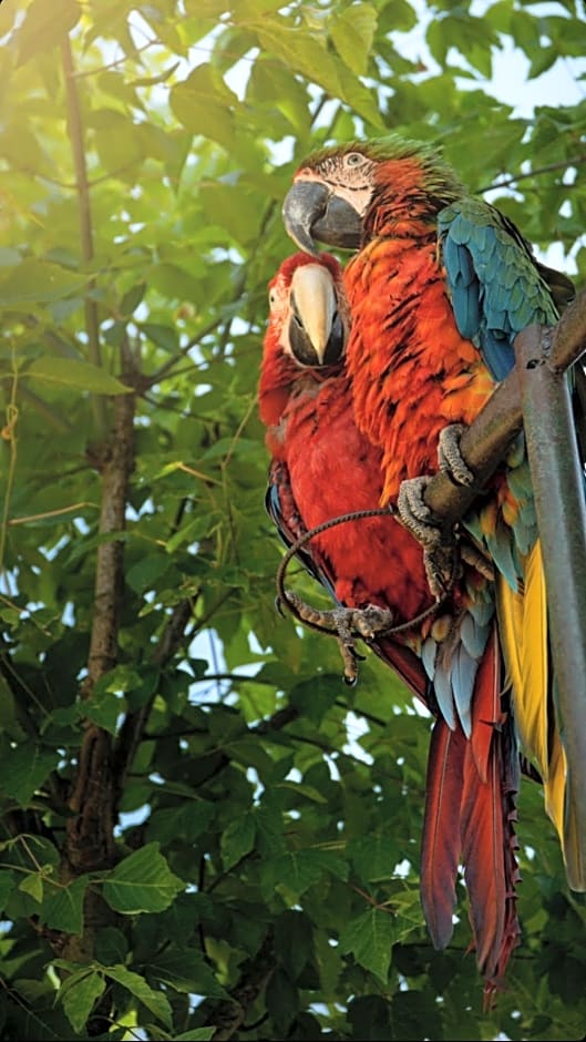 Polonezköy Country Club