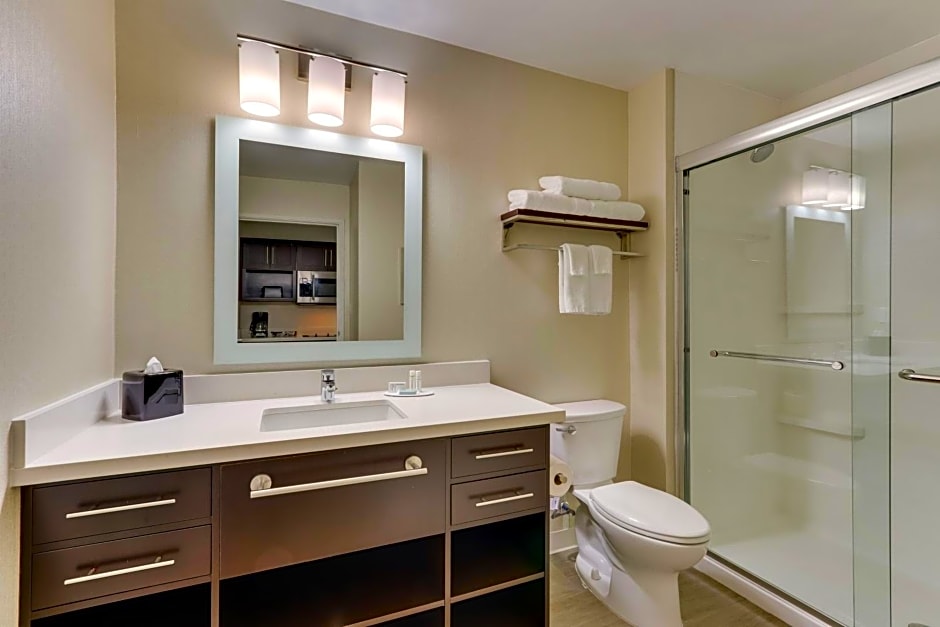 TownePlace Suites by Marriott Houston I-10 East