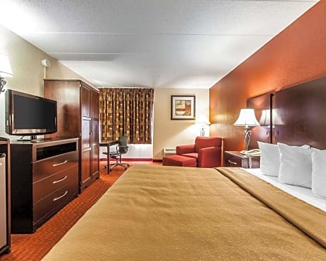 1 King Bed 1-Bedroom Apartment Non-Smoking