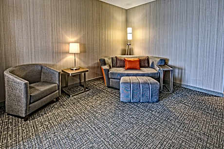 Suite Accessible King Size Bed