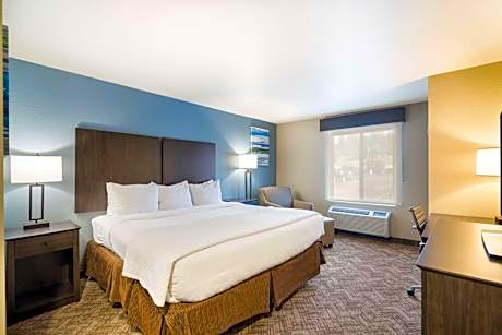 King Room with Roll-In Shower - Disability Access