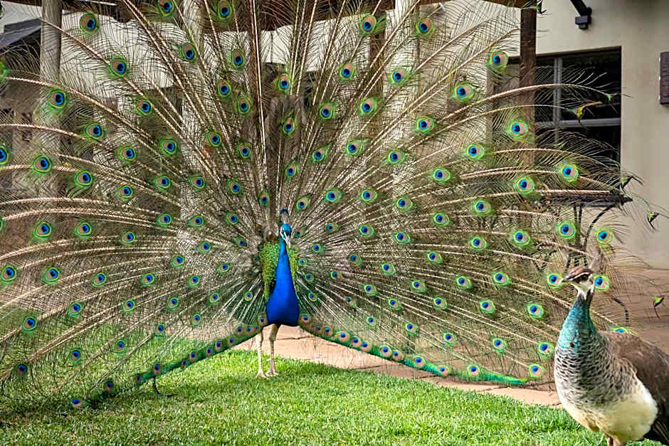 Protea Hotel by Marriott Bloemfontein Willow Lake