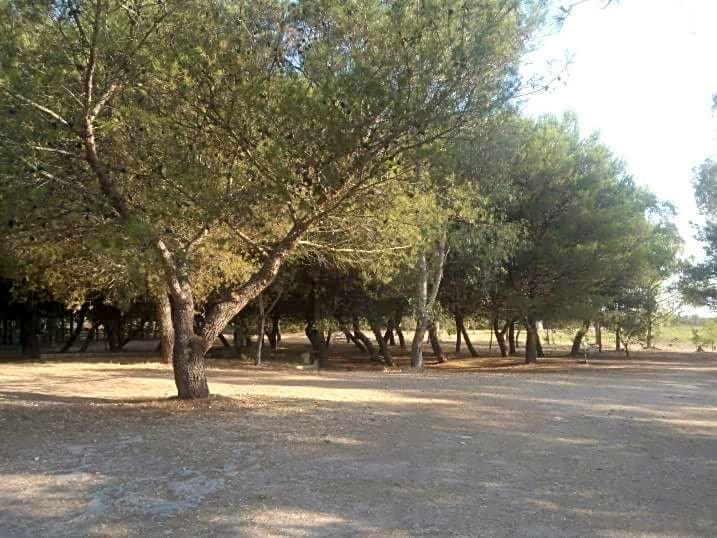 B&B Masseria Donna Carlotta