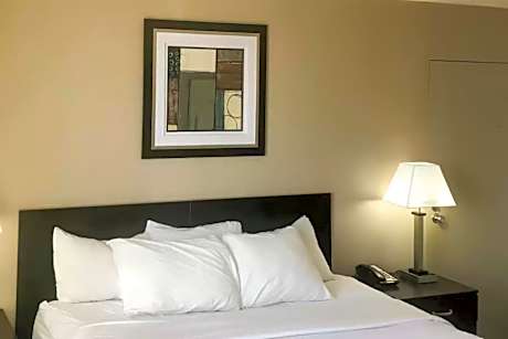 1 King Bed Nonsmoking Accessible