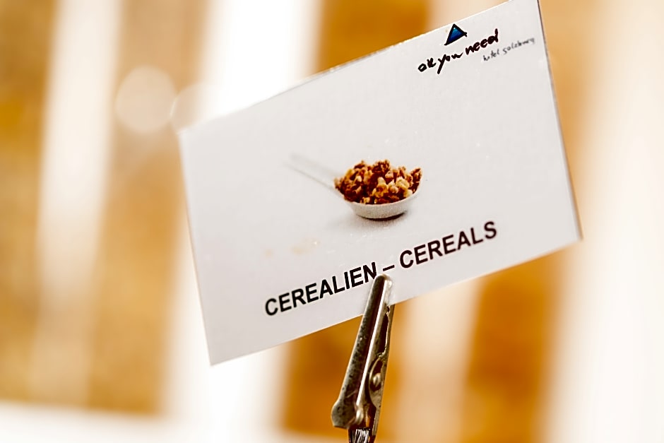 AllYouNeed Hotel Salzburg