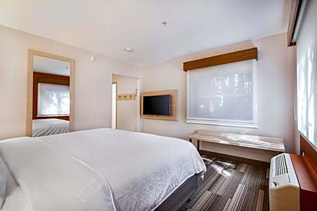 King Suite with Sofa Bed