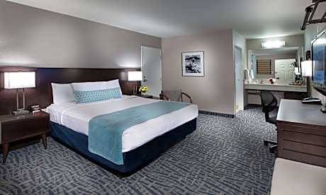 Comfort Single Room