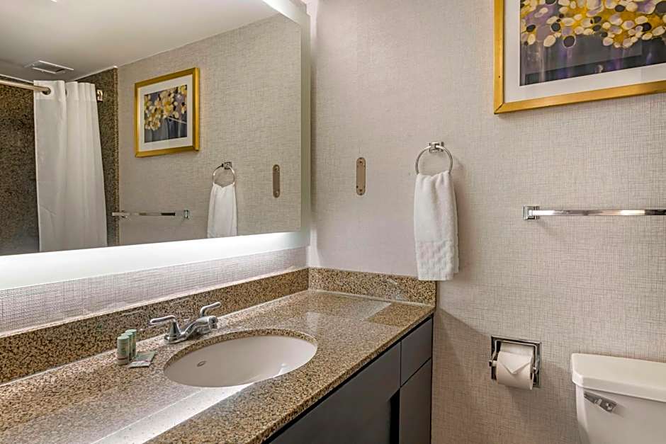 Brooklyn Center Hotel & Conference Center