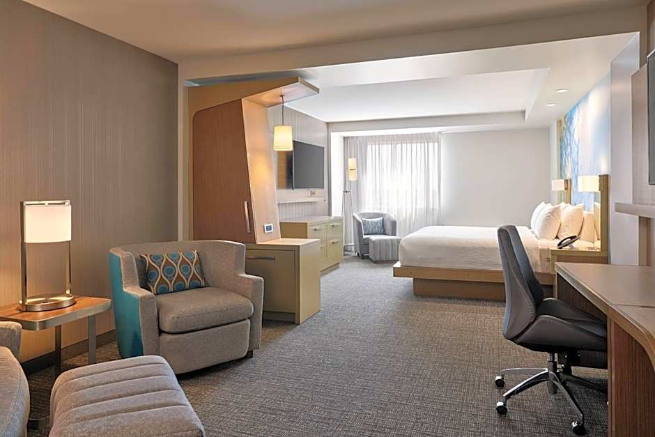 Photo 1 of 2 of Studio 1 King Bed with Sofabed