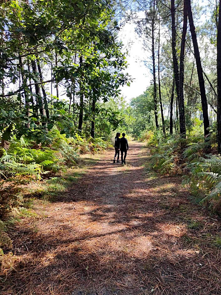 Shifting Sands Surf Camp