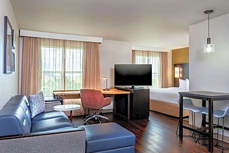Studio, 1 King Bed with Sofa bed (1 King Bed and 1 Double Sofa Bed)
